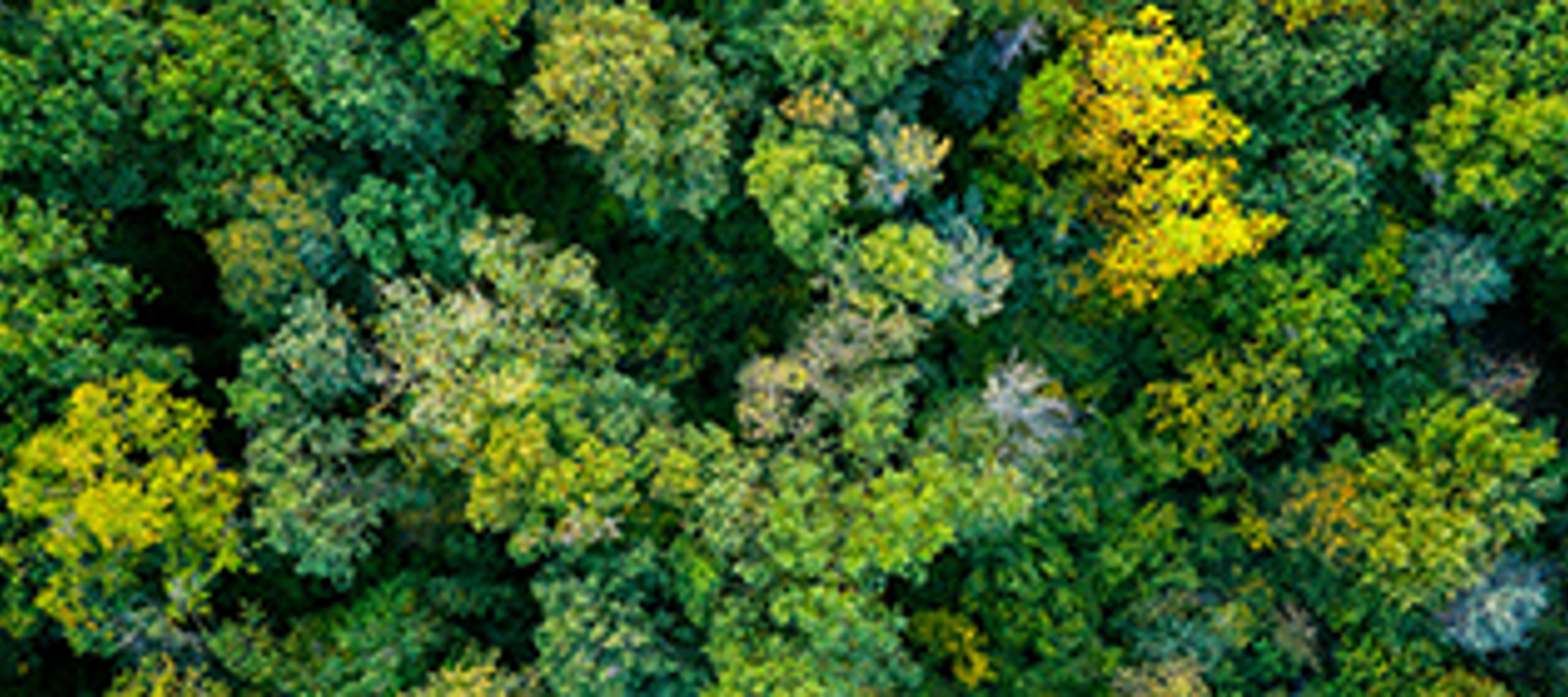 Kritonline 120: Agro Giethoorn: 3 praktijklessen over duurzaamheid