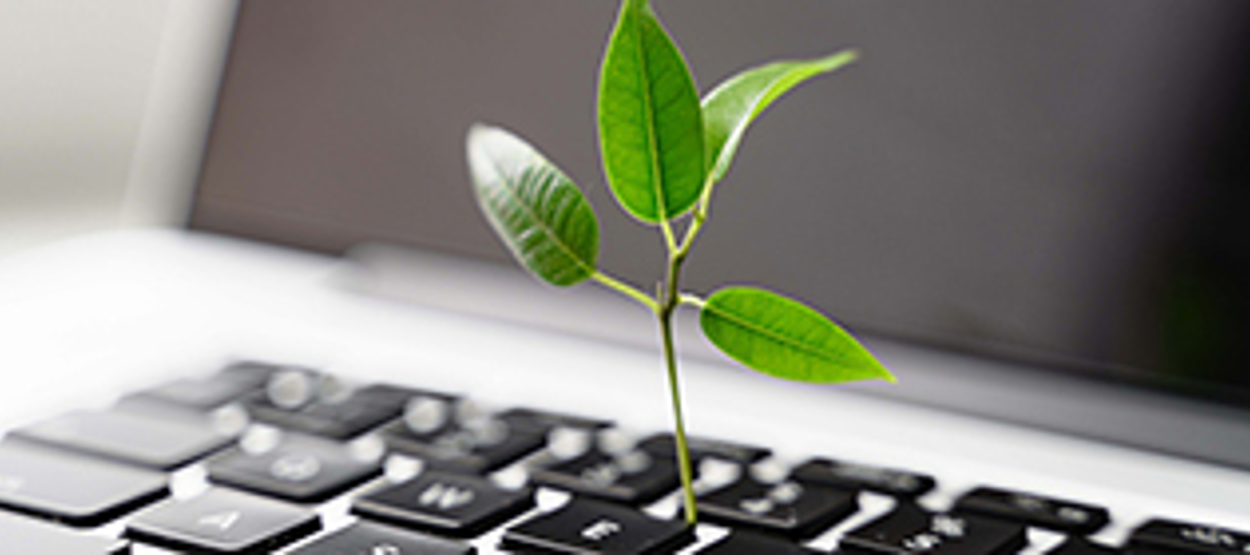 Kritonline 86: Het duurzaamheidsverslag: dit is wat we al weten