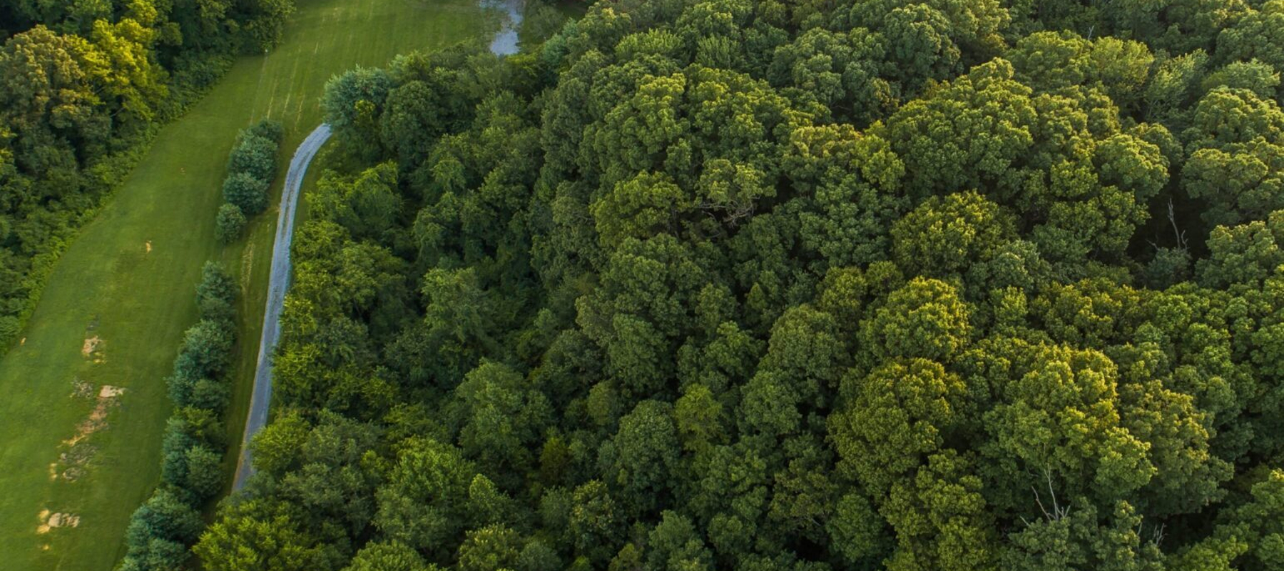 Kritonline 64: Duurzaamheid: zet als samenstellend accountant nu al stappen